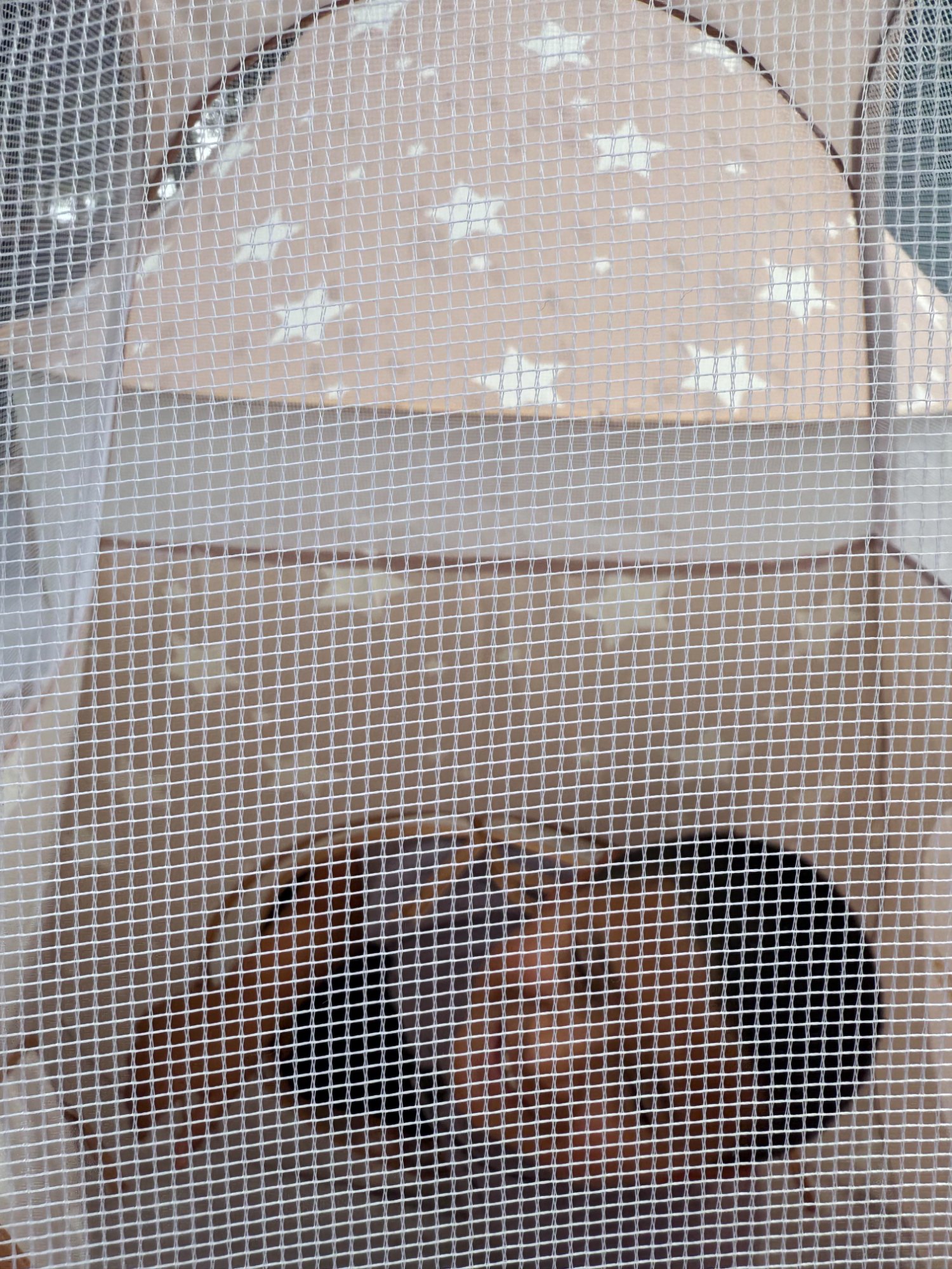 Child focused on screen through mesh tent